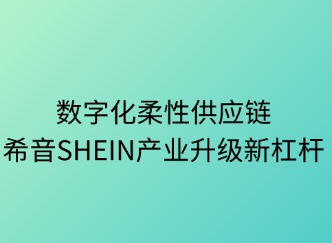 數(shù)字化柔性供應(yīng)鏈：產(chǎn)業(yè)升級新杠桿